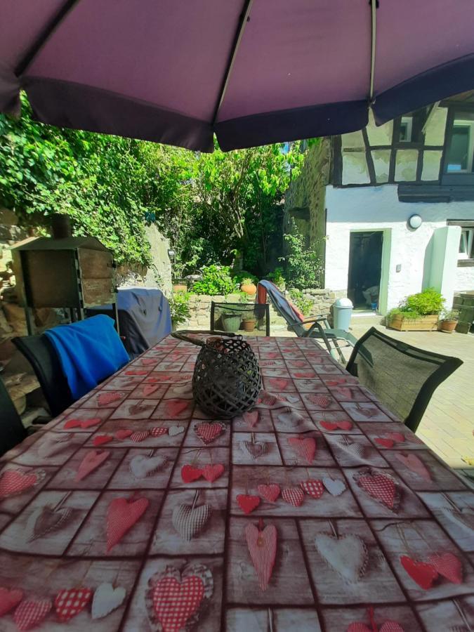 Studio Tout Confort 2 Personnes Au Coeur De L'Alsace Wolxheim Экстерьер фото