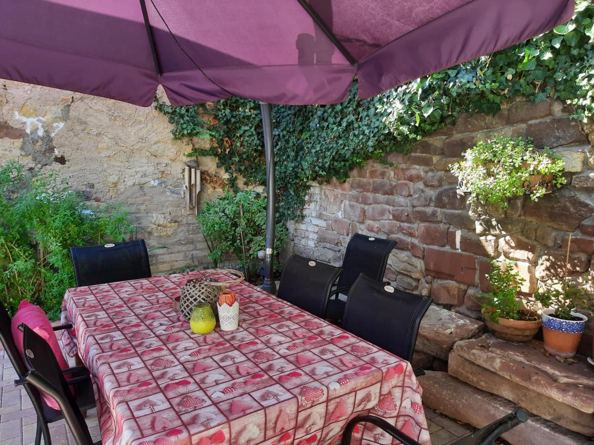Studio Tout Confort 2 Personnes Au Coeur De L'Alsace Wolxheim Экстерьер фото