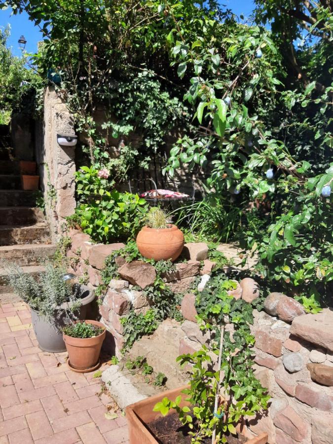Studio Tout Confort 2 Personnes Au Coeur De L'Alsace Wolxheim Экстерьер фото