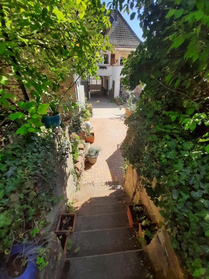 Studio Tout Confort 2 Personnes Au Coeur De L'Alsace Wolxheim Экстерьер фото