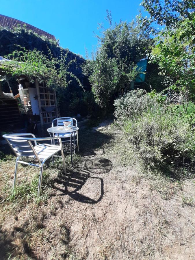 Studio Tout Confort 2 Personnes Au Coeur De L'Alsace Wolxheim Экстерьер фото