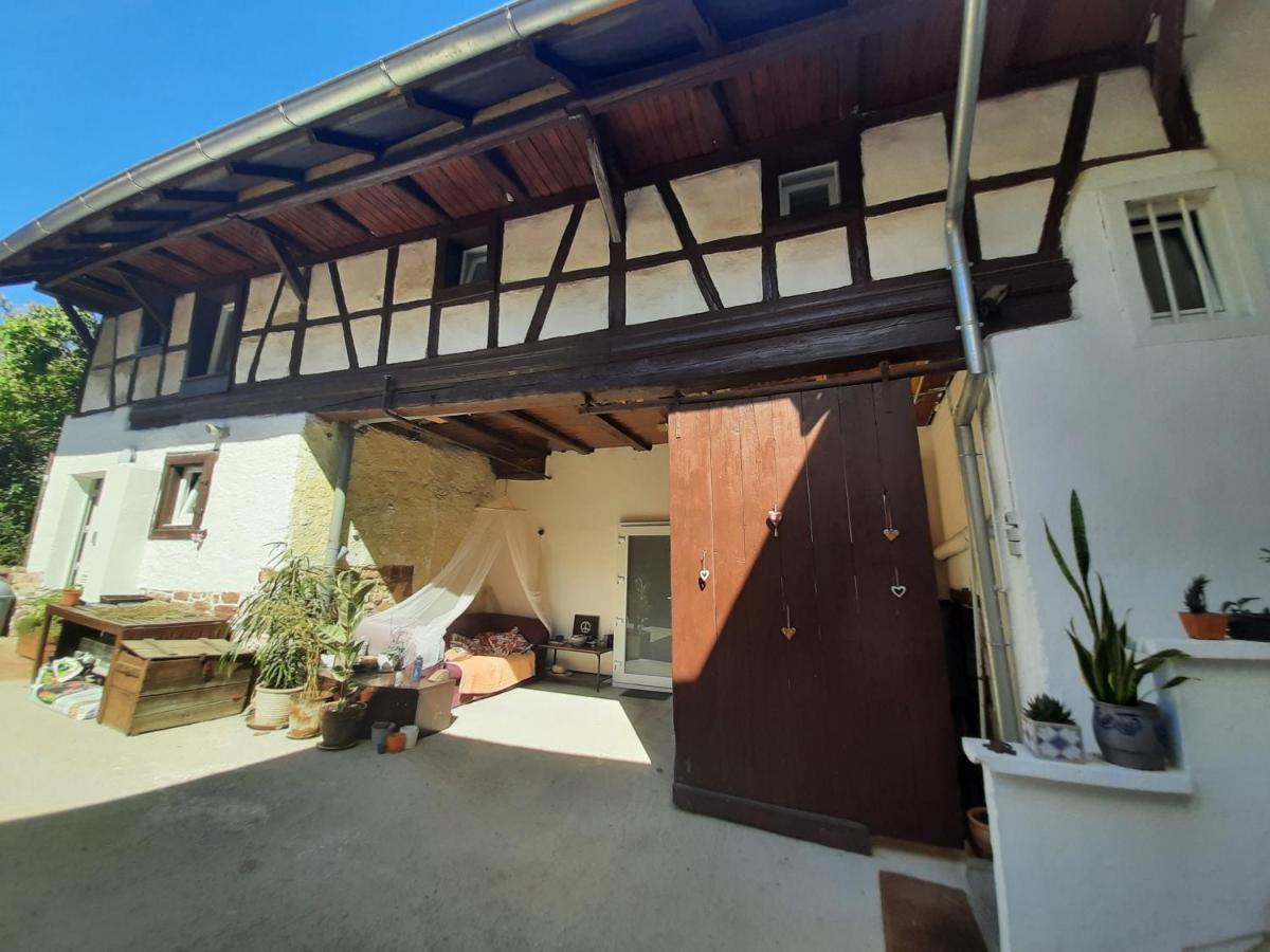 Studio Tout Confort 2 Personnes Au Coeur De L'Alsace Wolxheim Экстерьер фото