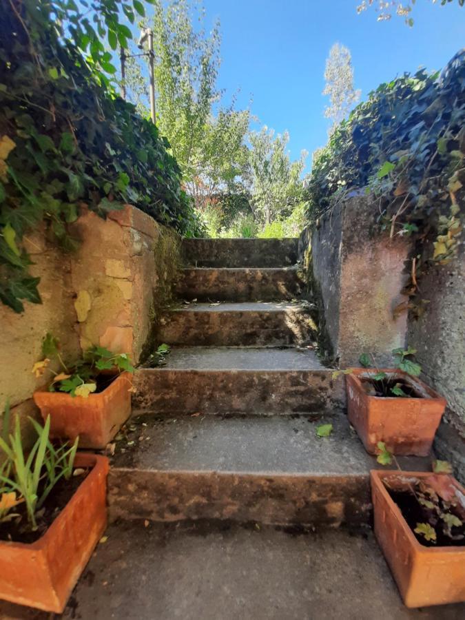 Studio Tout Confort 2 Personnes Au Coeur De L'Alsace Wolxheim Экстерьер фото