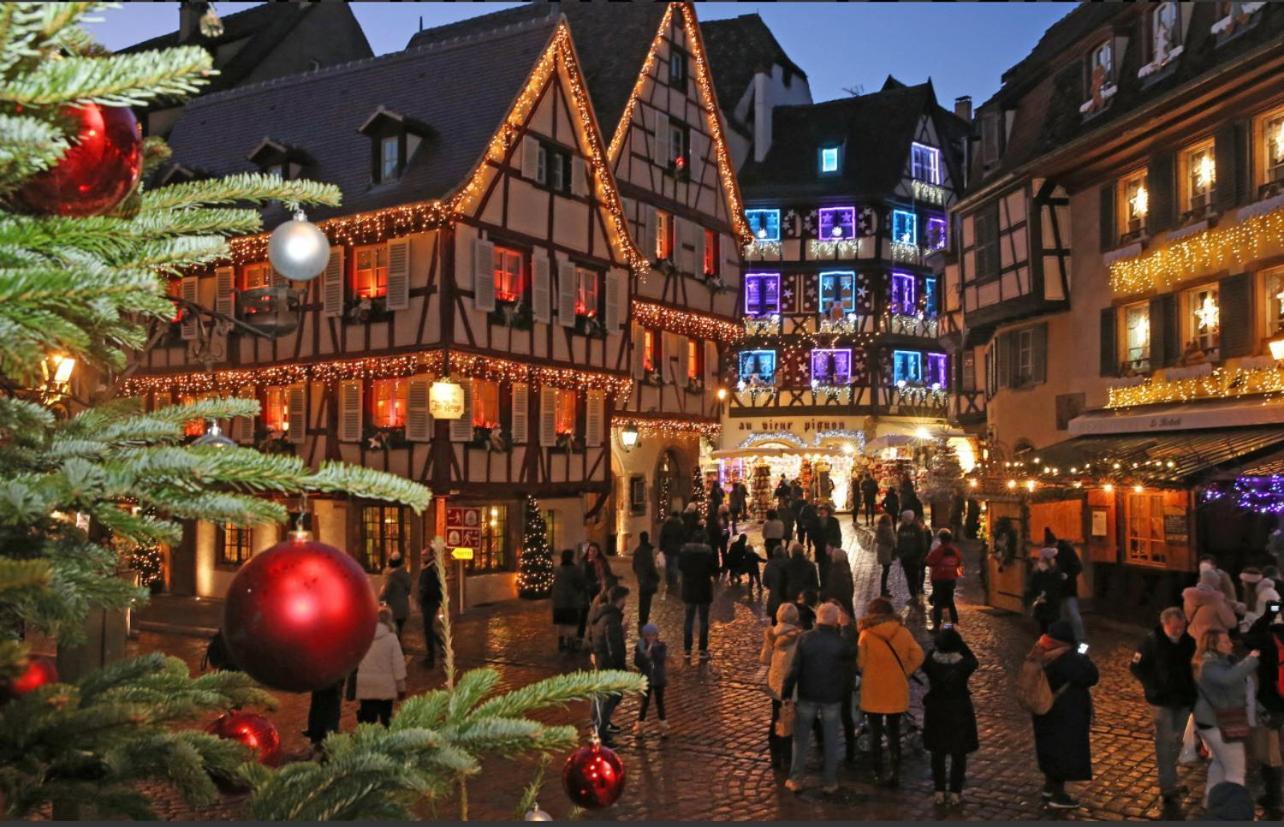 Studio Tout Confort 2 Personnes Au Coeur De L'Alsace Wolxheim Экстерьер фото