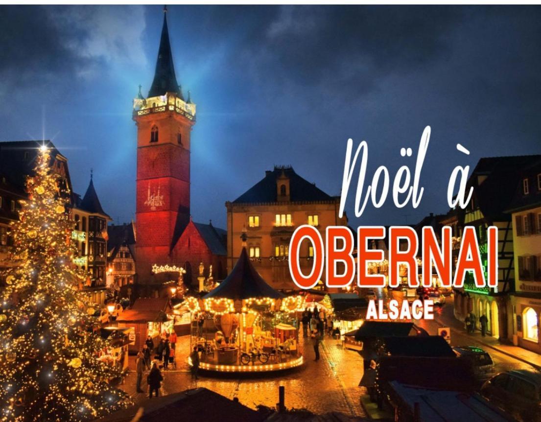 Studio Tout Confort 2 Personnes Au Coeur De L'Alsace Wolxheim Экстерьер фото