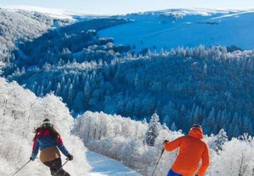 Studio Tout Confort 2 Personnes Au Coeur De L'Alsace Wolxheim Экстерьер фото