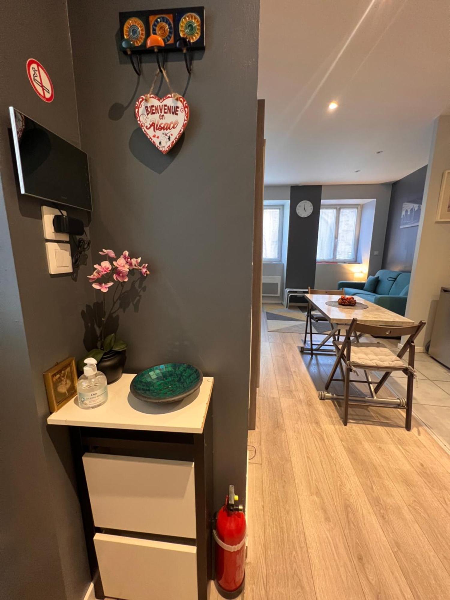Studio Tout Confort 2 Personnes Au Coeur De L'Alsace Wolxheim Экстерьер фото