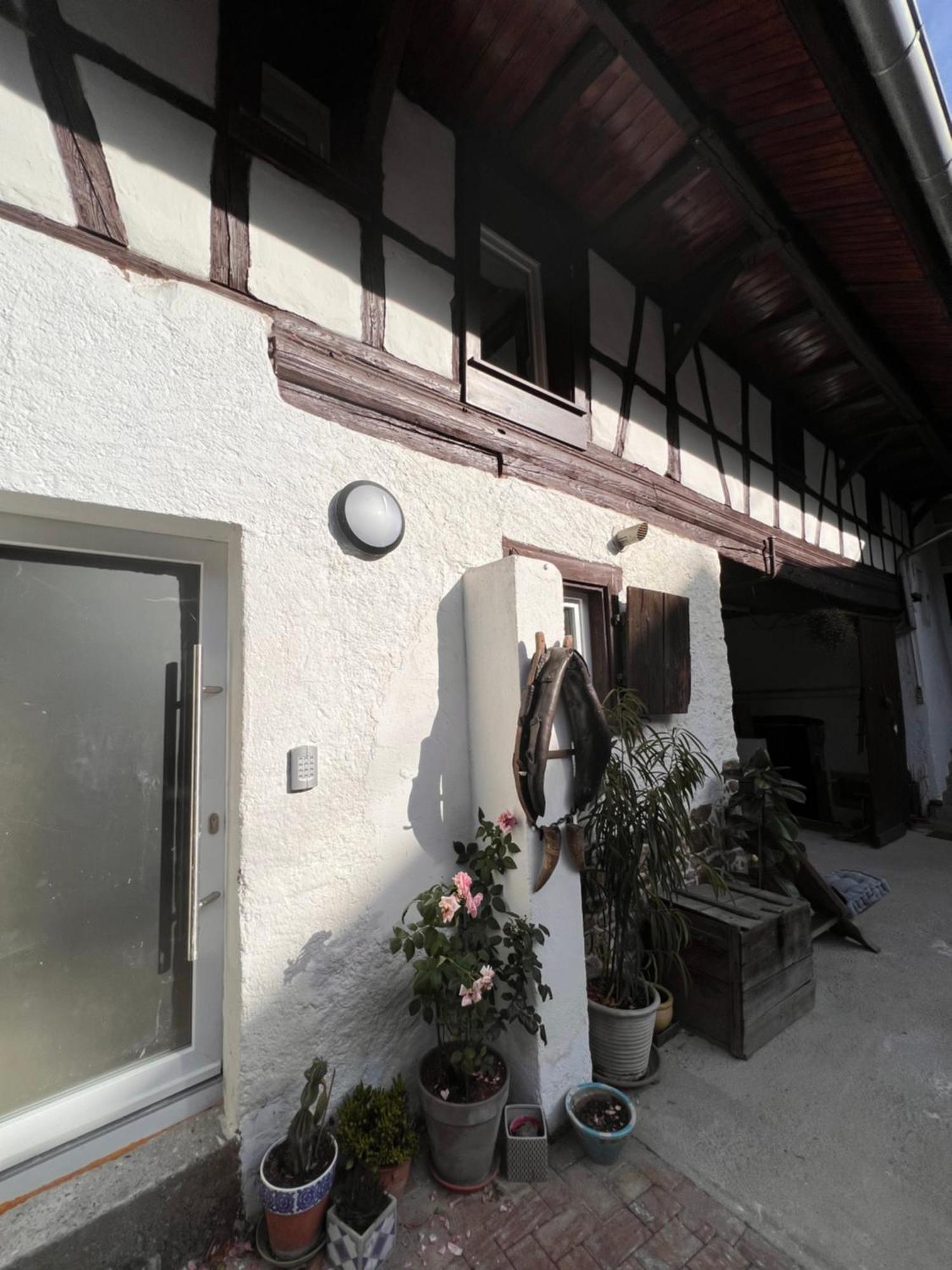 Studio Tout Confort 2 Personnes Au Coeur De L'Alsace Wolxheim Экстерьер фото