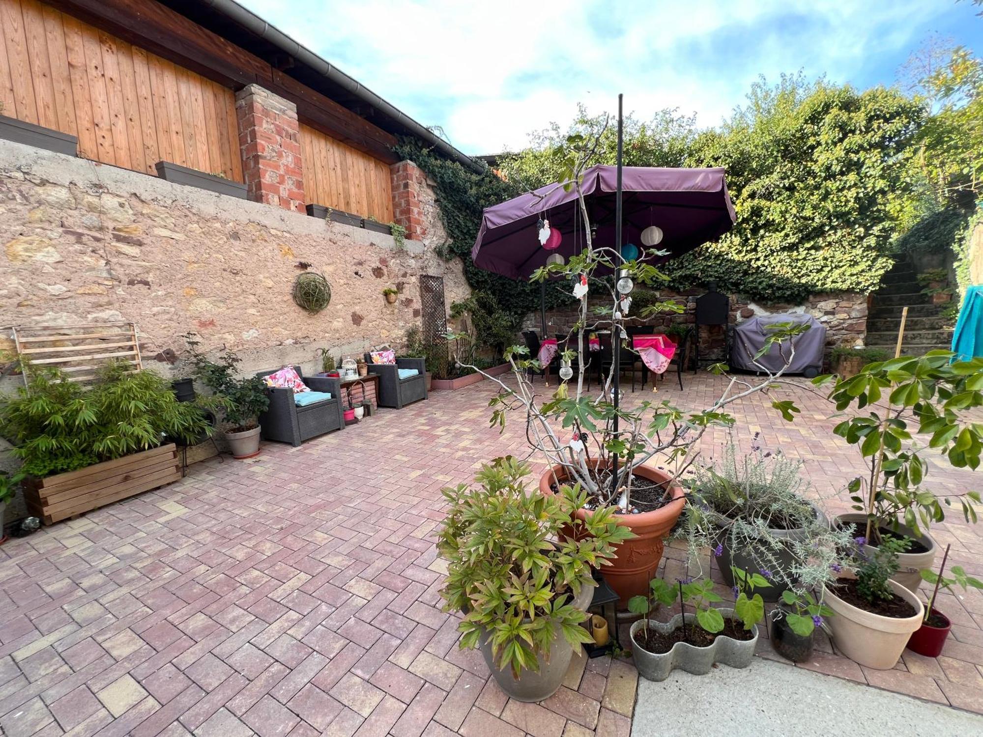 Studio Tout Confort 2 Personnes Au Coeur De L'Alsace Wolxheim Экстерьер фото